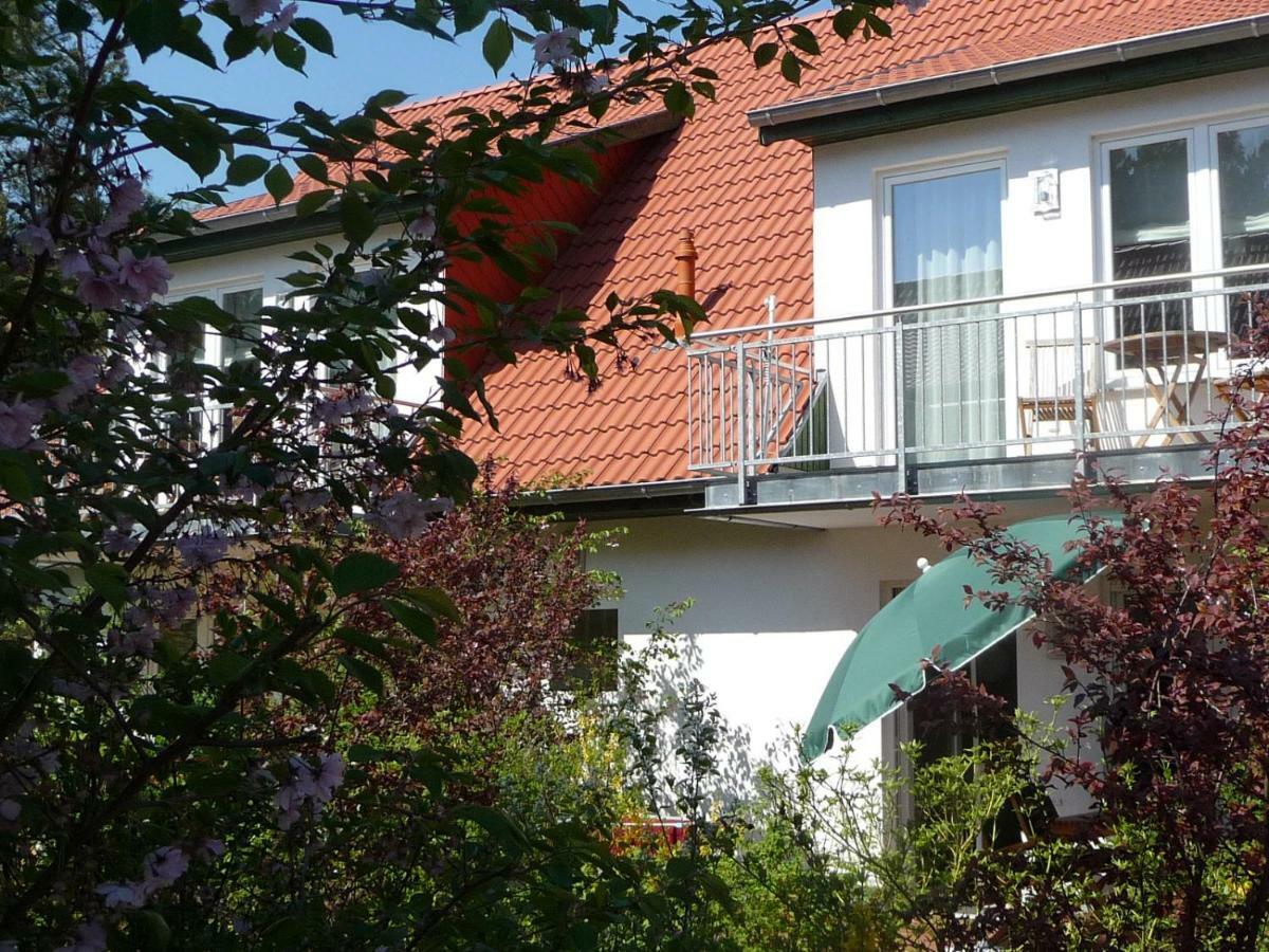 Steinbock-Ferienwohnungen Kolpinsee Exterior photo
